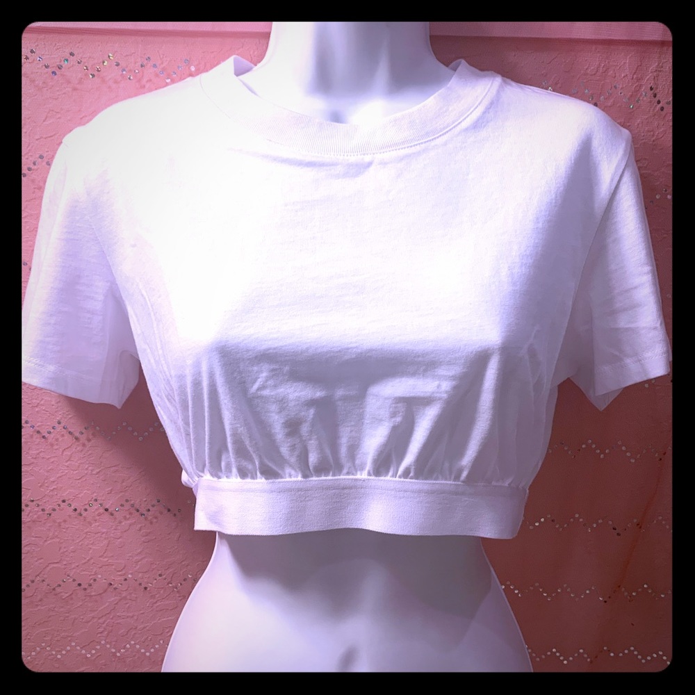Alexander Wang White Crop Top S NWT - Picture 1 of 4